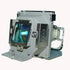 Original Philips UHP Projector Lamp for BenQ 9E.Y1301.001